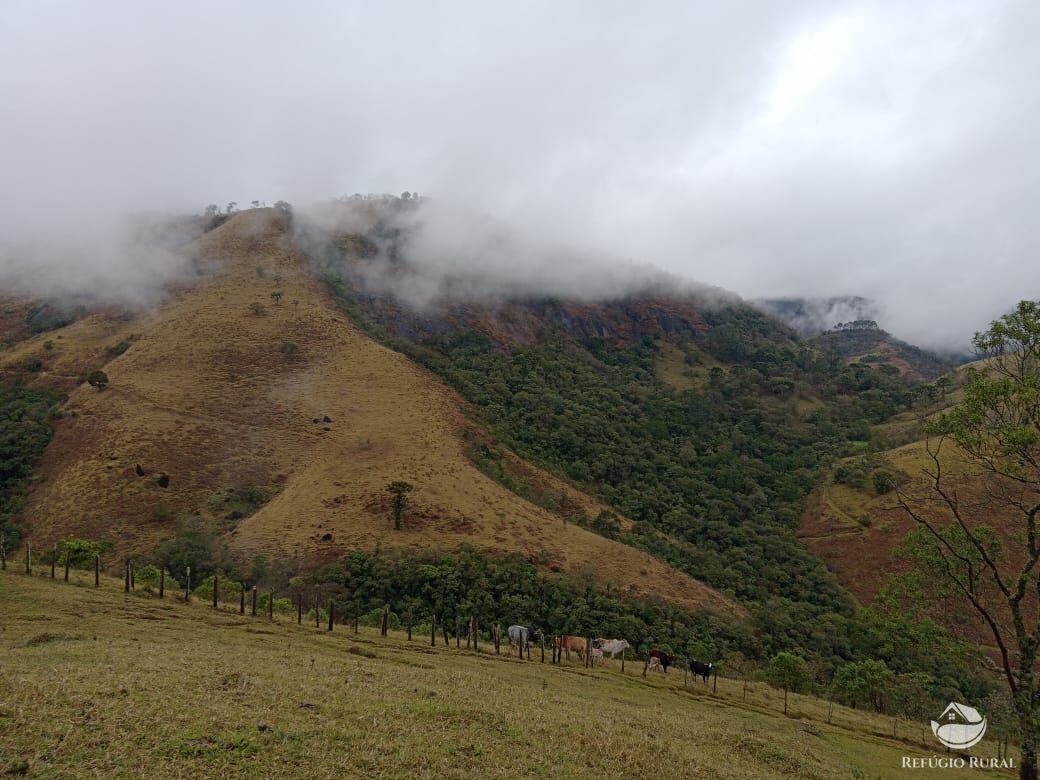 Fazenda à venda com 3 quartos, 30000m² - Foto 28