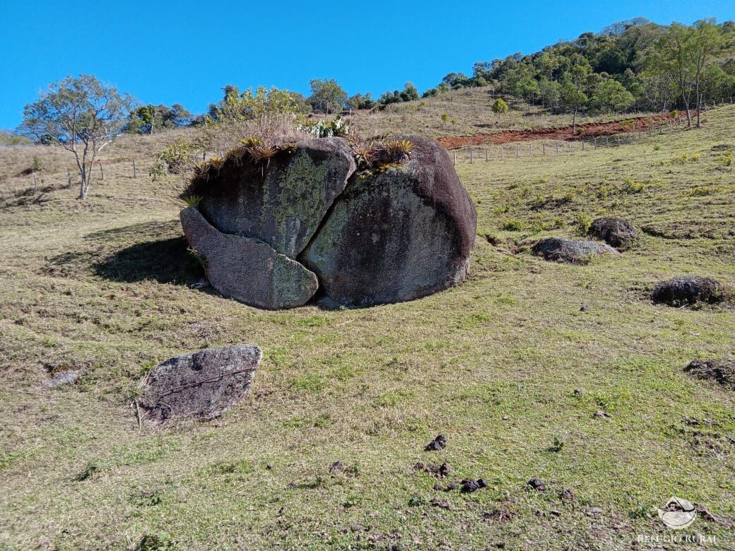 Fazenda à venda com 3 quartos, 30000m² - Foto 27