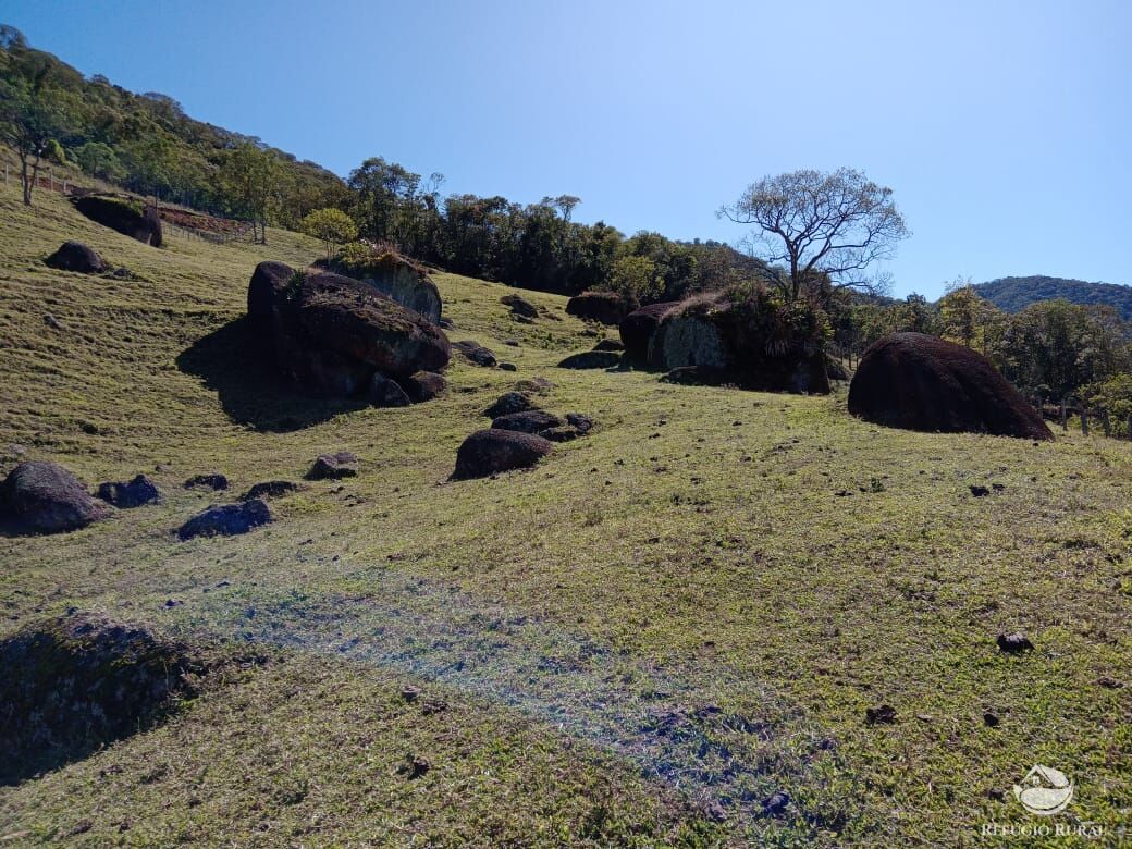 Fazenda à venda com 3 quartos, 30000m² - Foto 40