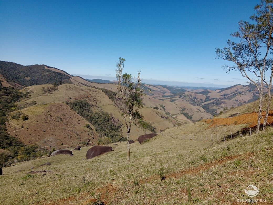 Fazenda à venda com 3 quartos, 30000m² - Foto 23