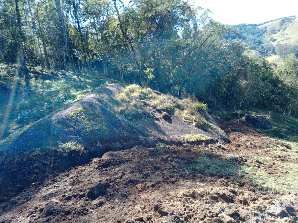 Fazenda à venda com 3 quartos, 30000m² - Foto 24