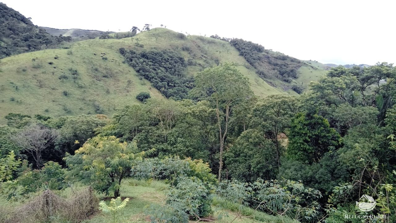 Fazenda à venda com 3 quartos, 30000m² - Foto 29