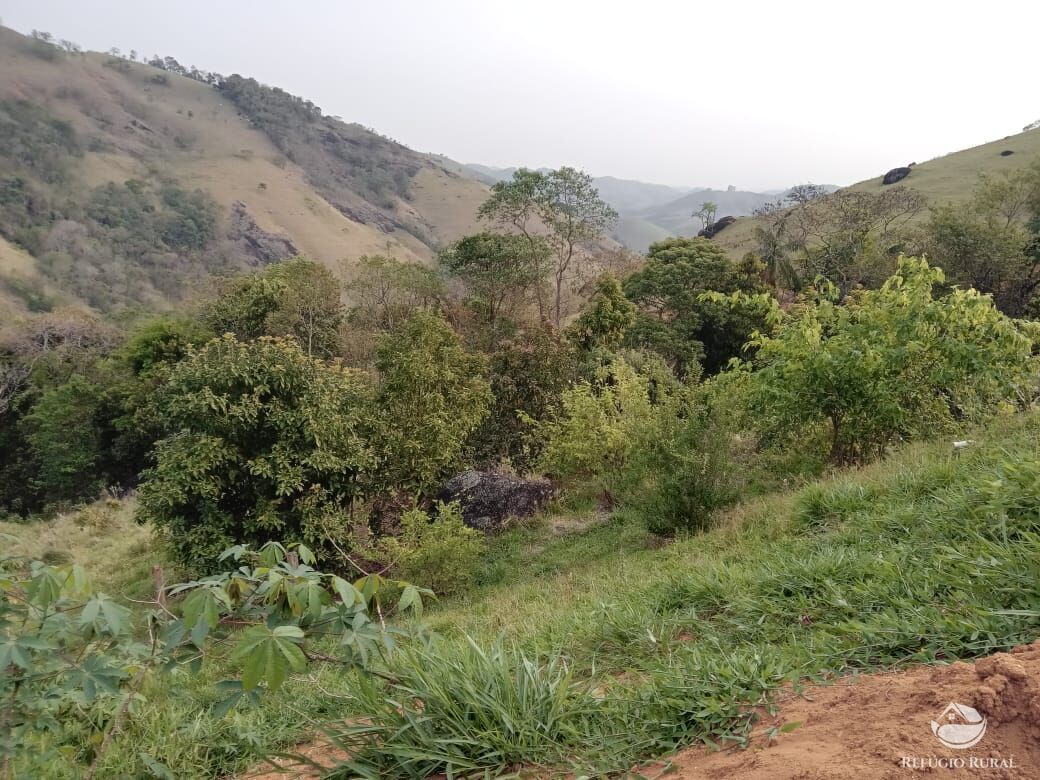 Fazenda à venda com 3 quartos, 30000m² - Foto 45