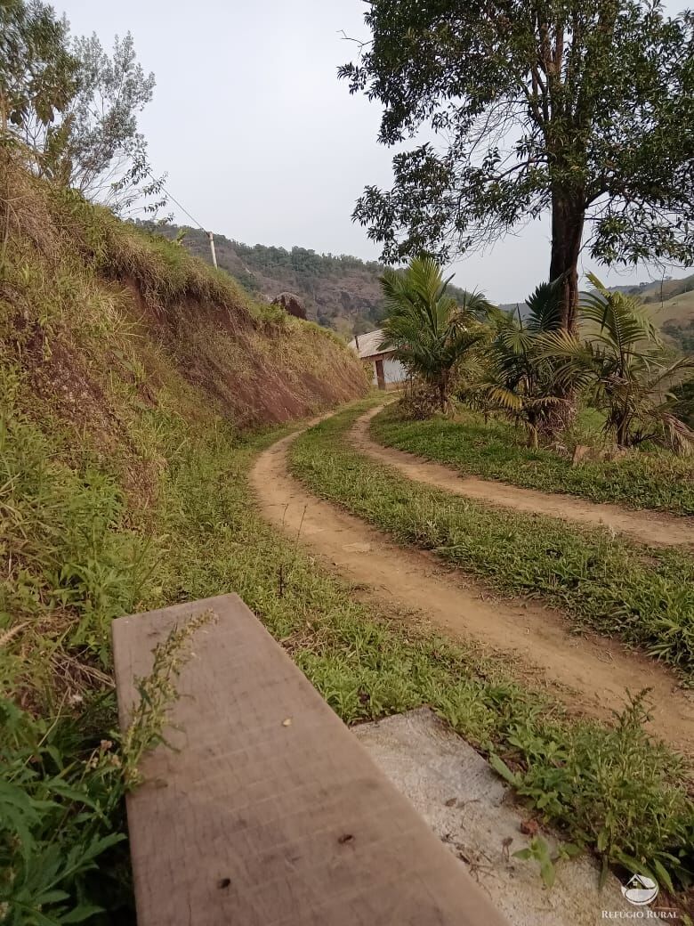 Fazenda à venda com 3 quartos, 30000m² - Foto 49