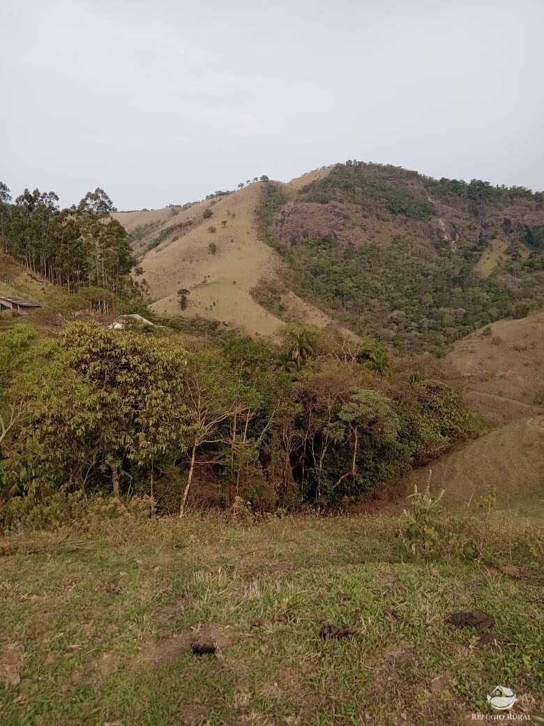 Fazenda à venda com 3 quartos, 30000m² - Foto 9