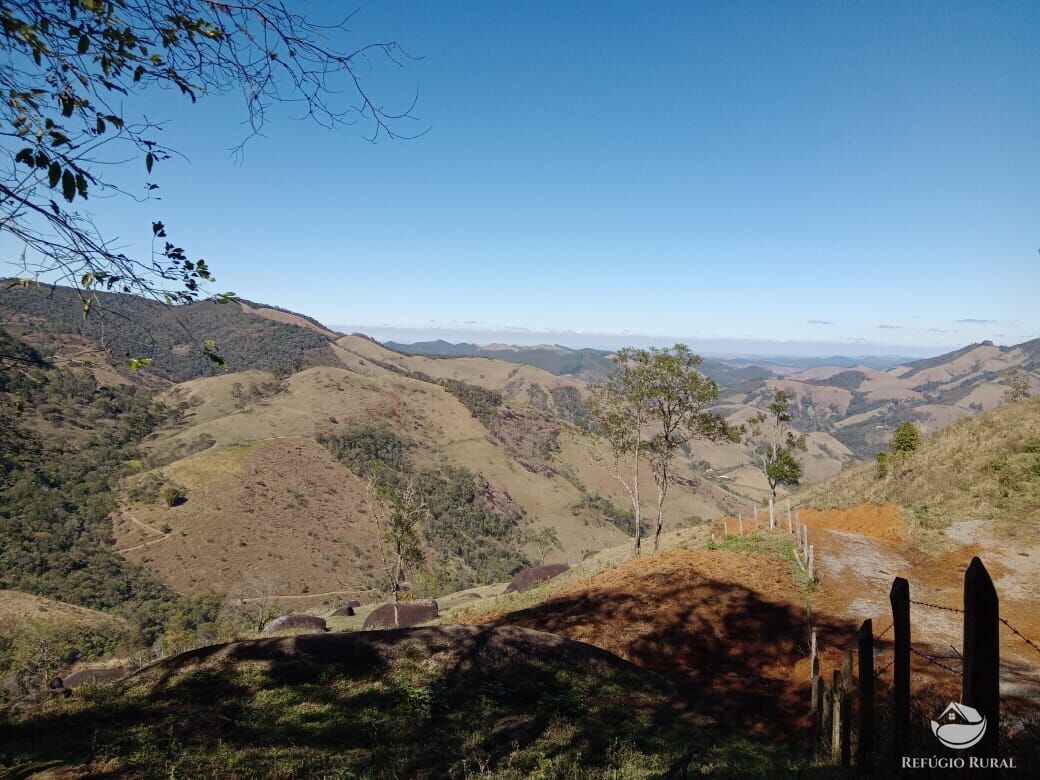 Fazenda à venda com 3 quartos, 30000m² - Foto 38