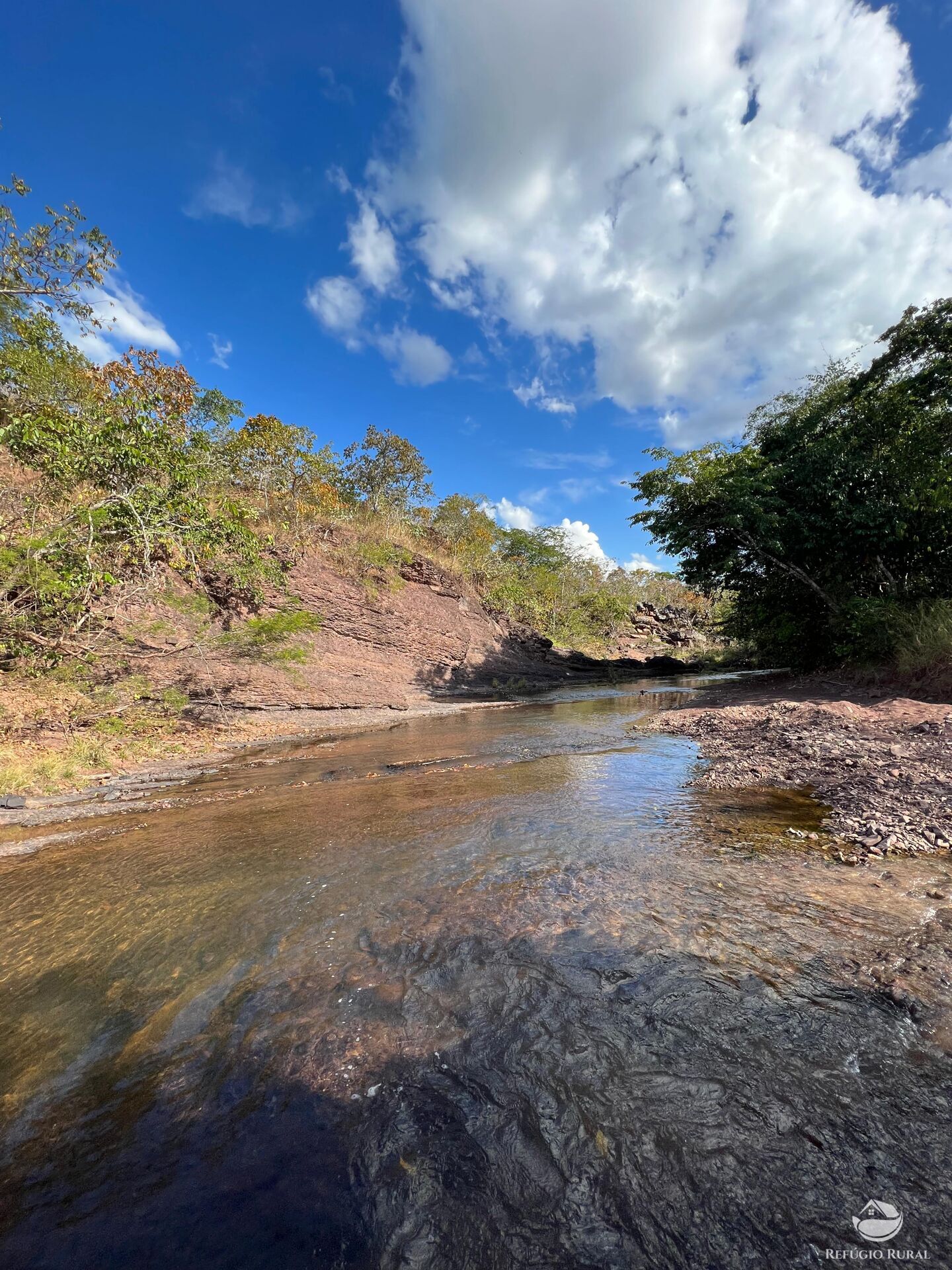 Fazenda à venda com 1 quarto, 31000000m² - Foto 1