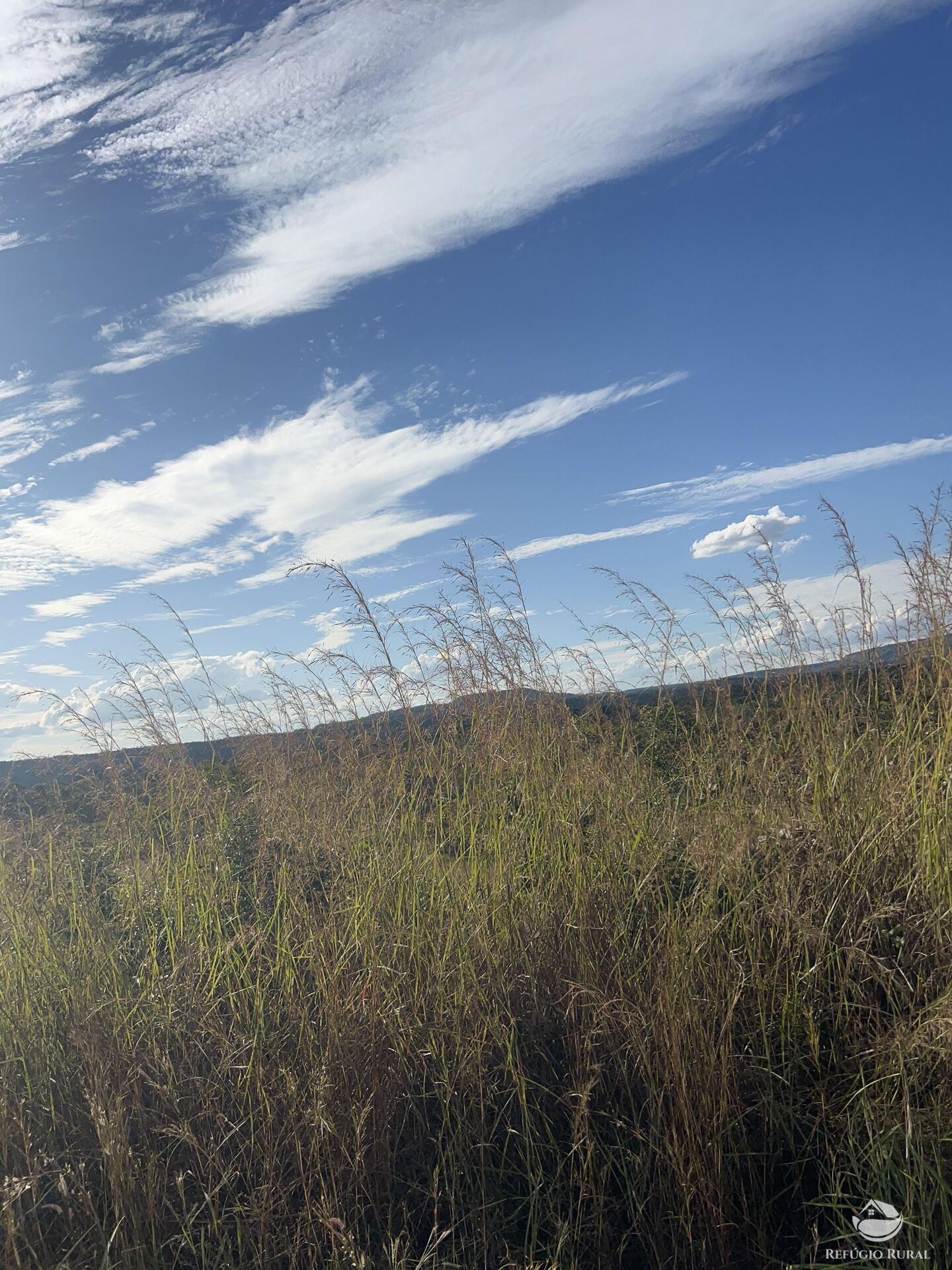 Fazenda à venda com 1 quarto, 31000000m² - Foto 2