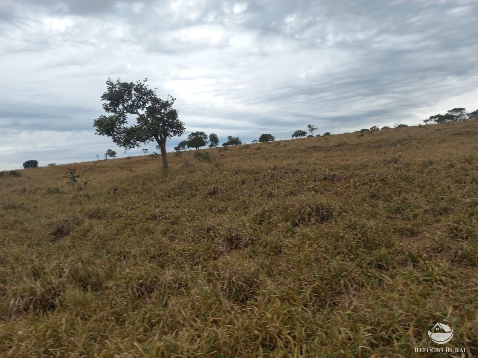 Fazenda à venda com 2 quartos, 7730000m² - Foto 9