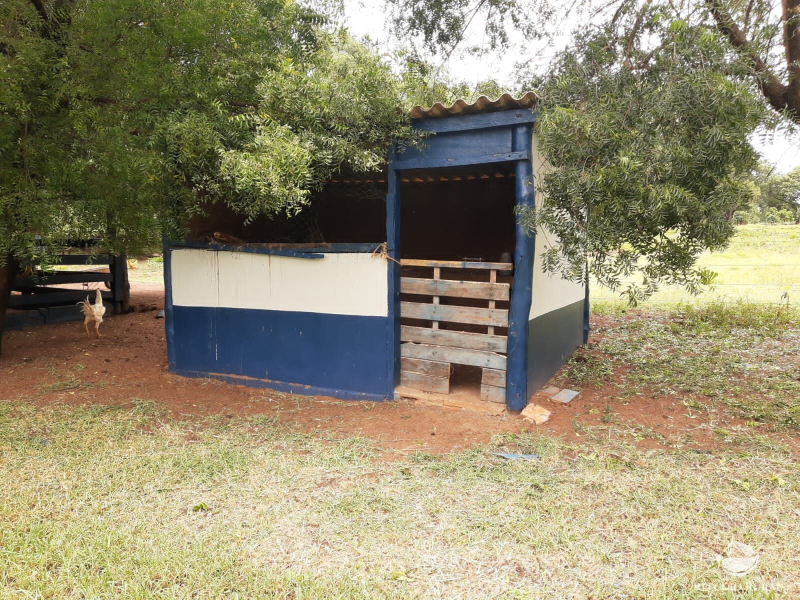 Fazenda à venda com 2 quartos, 7730000m² - Foto 17