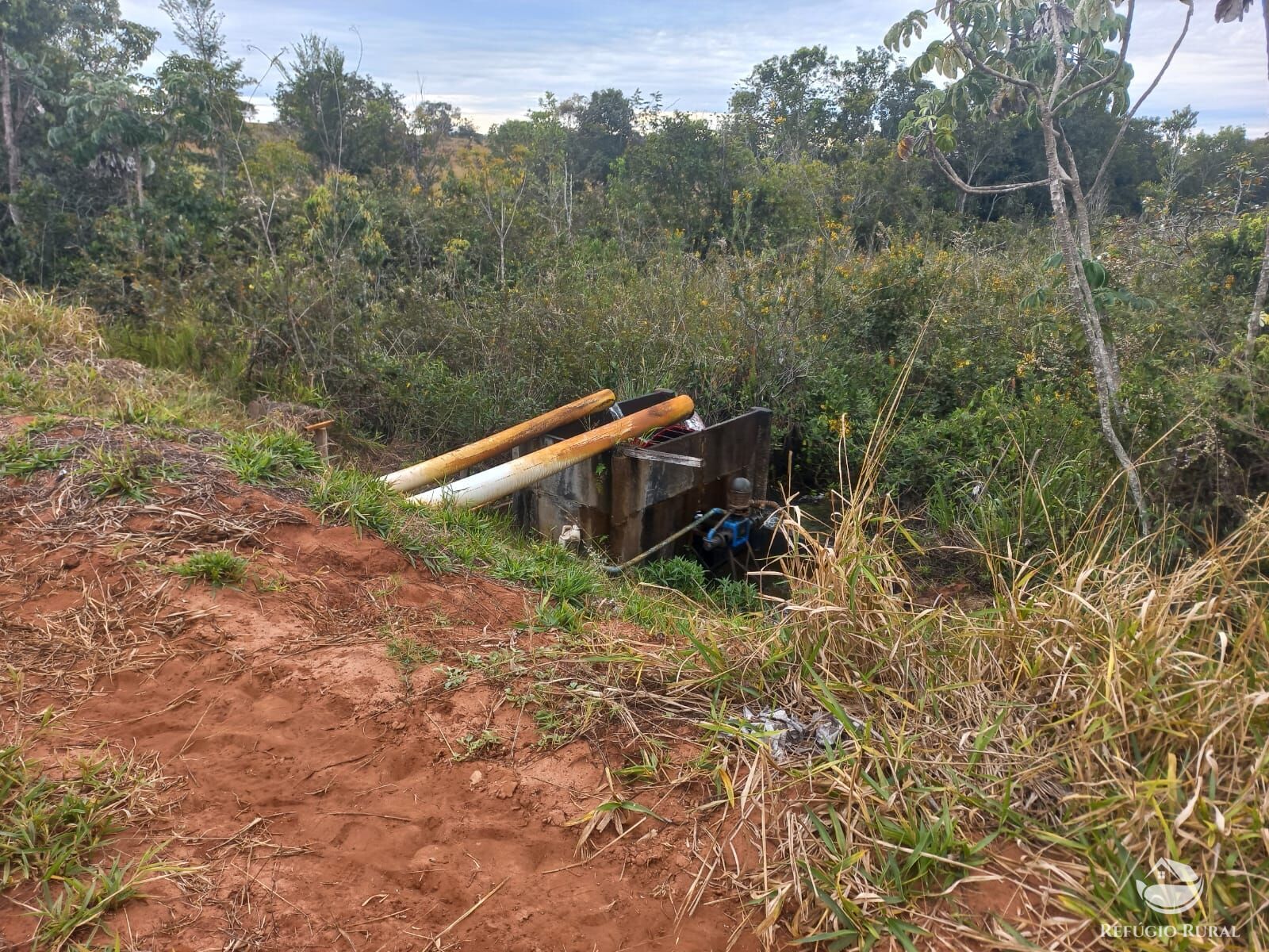 Fazenda à venda com 2 quartos, 7730000m² - Foto 13