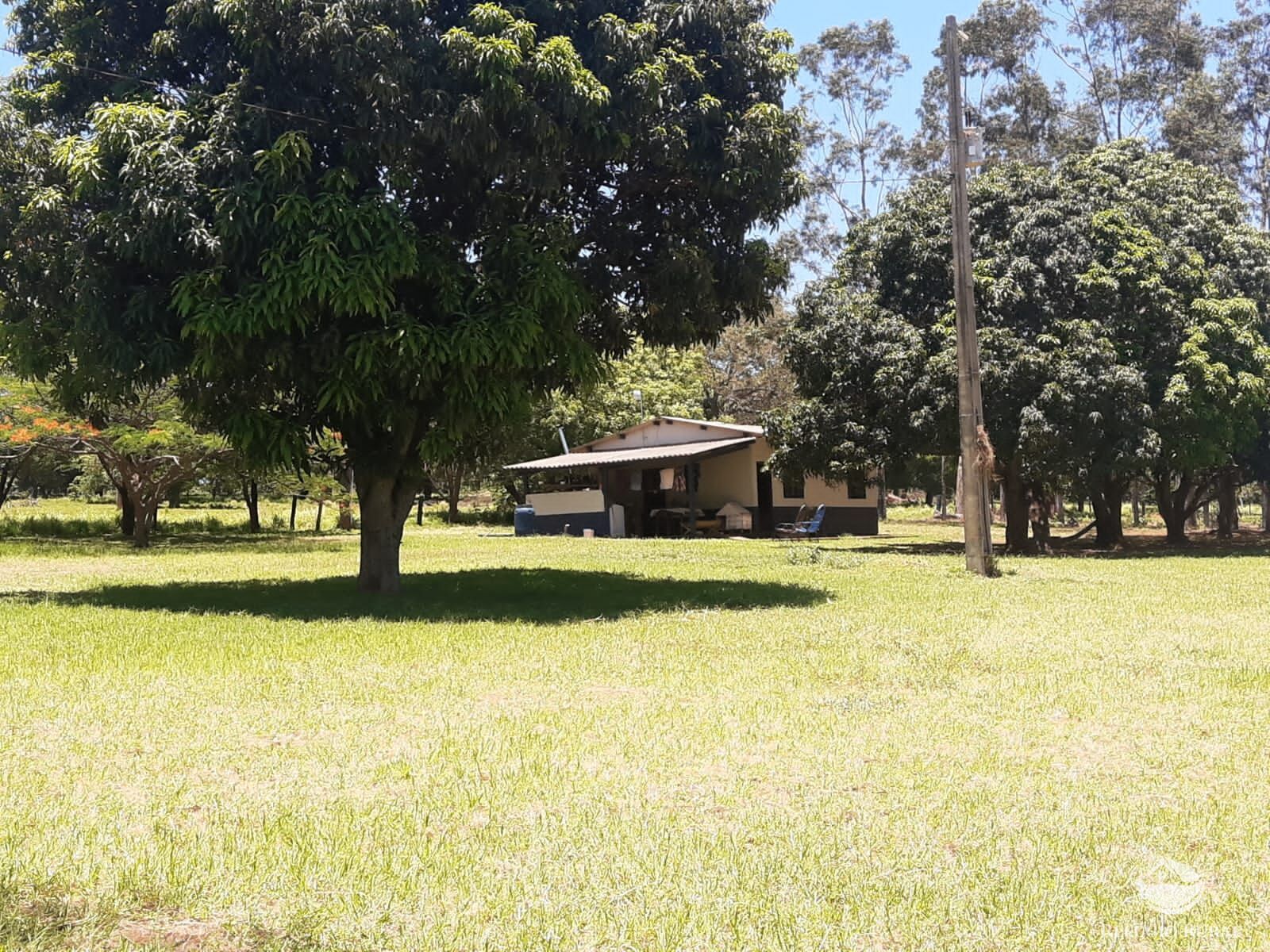 Fazenda à venda com 2 quartos, 7730000m² - Foto 20