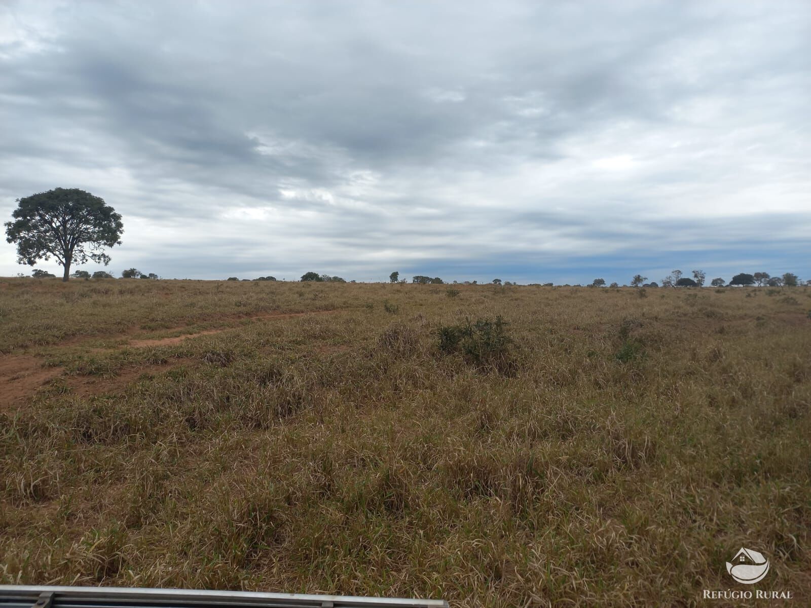 Fazenda à venda com 2 quartos, 7730000m² - Foto 7