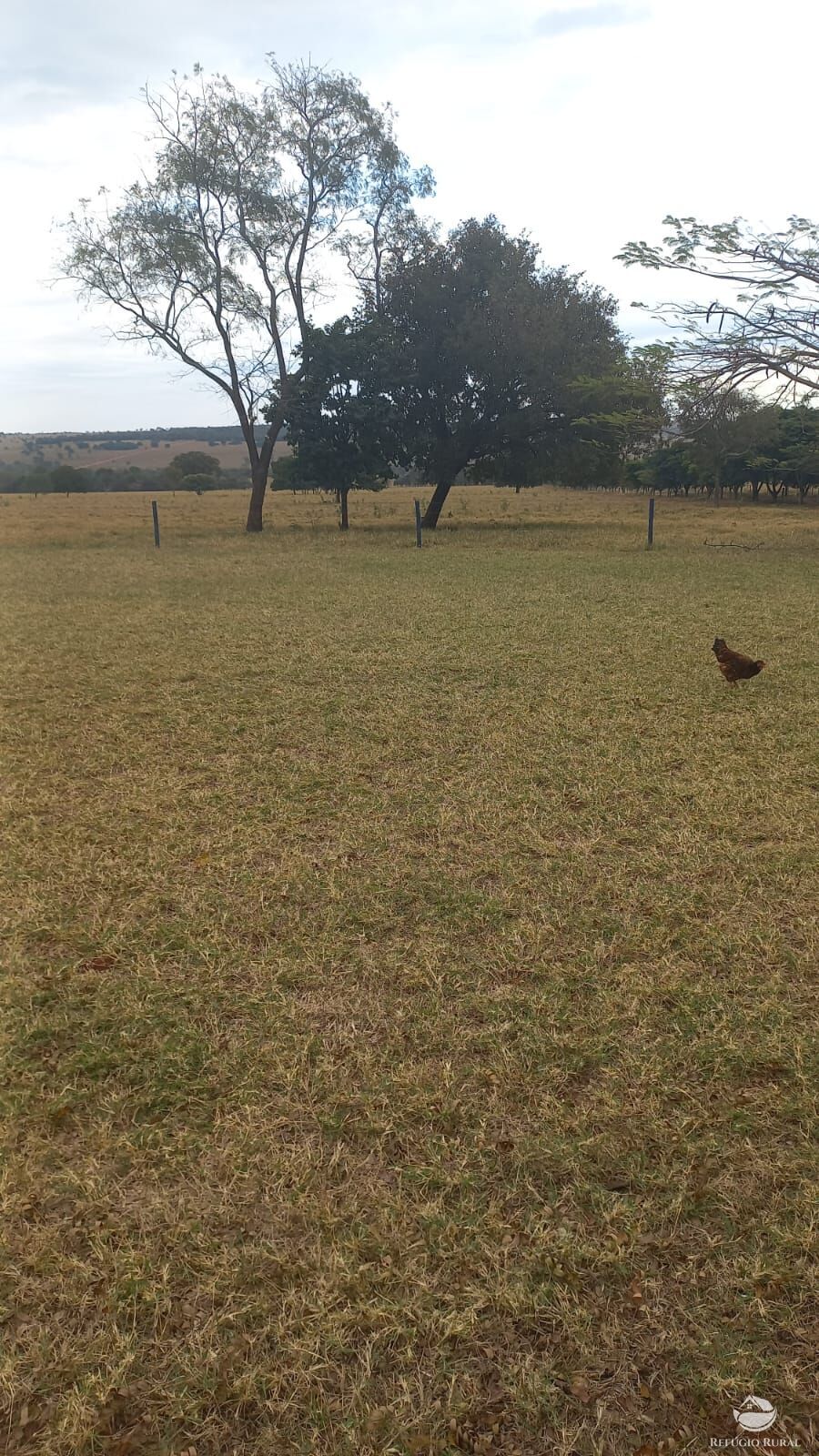 Fazenda à venda com 2 quartos, 7730000m² - Foto 12