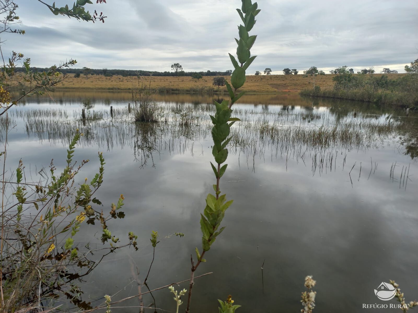 Fazenda à venda com 2 quartos, 7730000m² - Foto 1