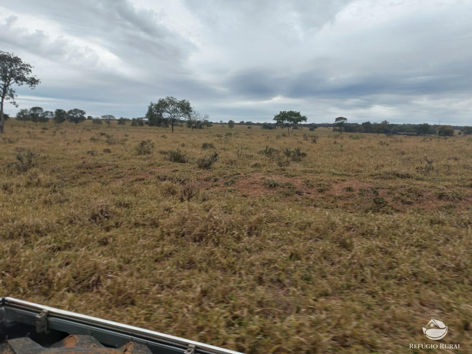 Fazenda à venda com 2 quartos, 7730000m² - Foto 6