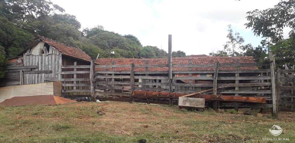 Fazenda à venda com 2 quartos, 314600m² - Foto 8