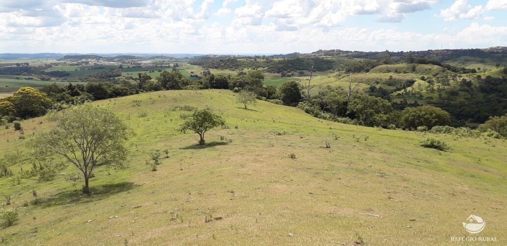 Fazenda à venda com 2 quartos, 314600m² - Foto 2