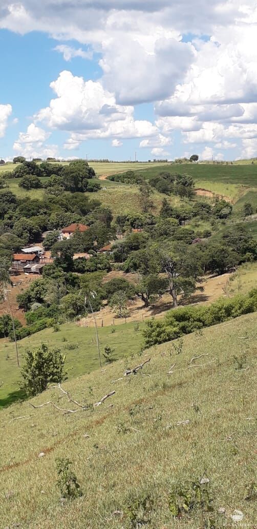 Fazenda à venda com 2 quartos, 314600m² - Foto 4