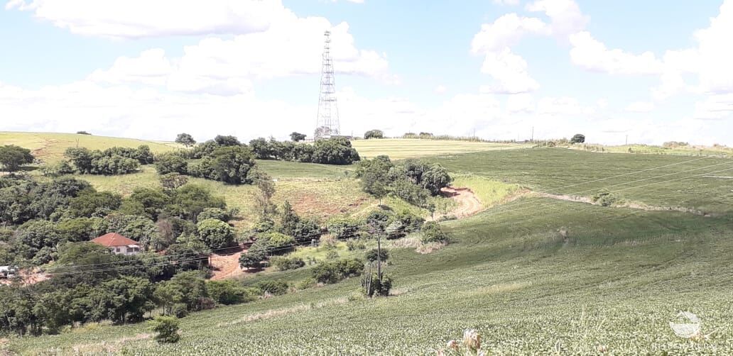 Fazenda à venda com 2 quartos, 314600m² - Foto 5