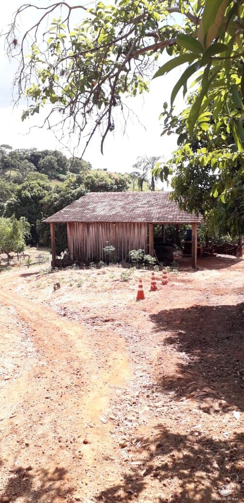 Fazenda à venda com 2 quartos, 314600m² - Foto 7