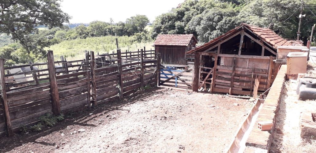 Fazenda à venda com 2 quartos, 314600m² - Foto 10