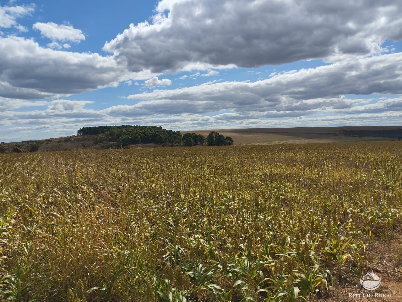 Fazenda à venda com 5 quartos, 16000000m² - Foto 2