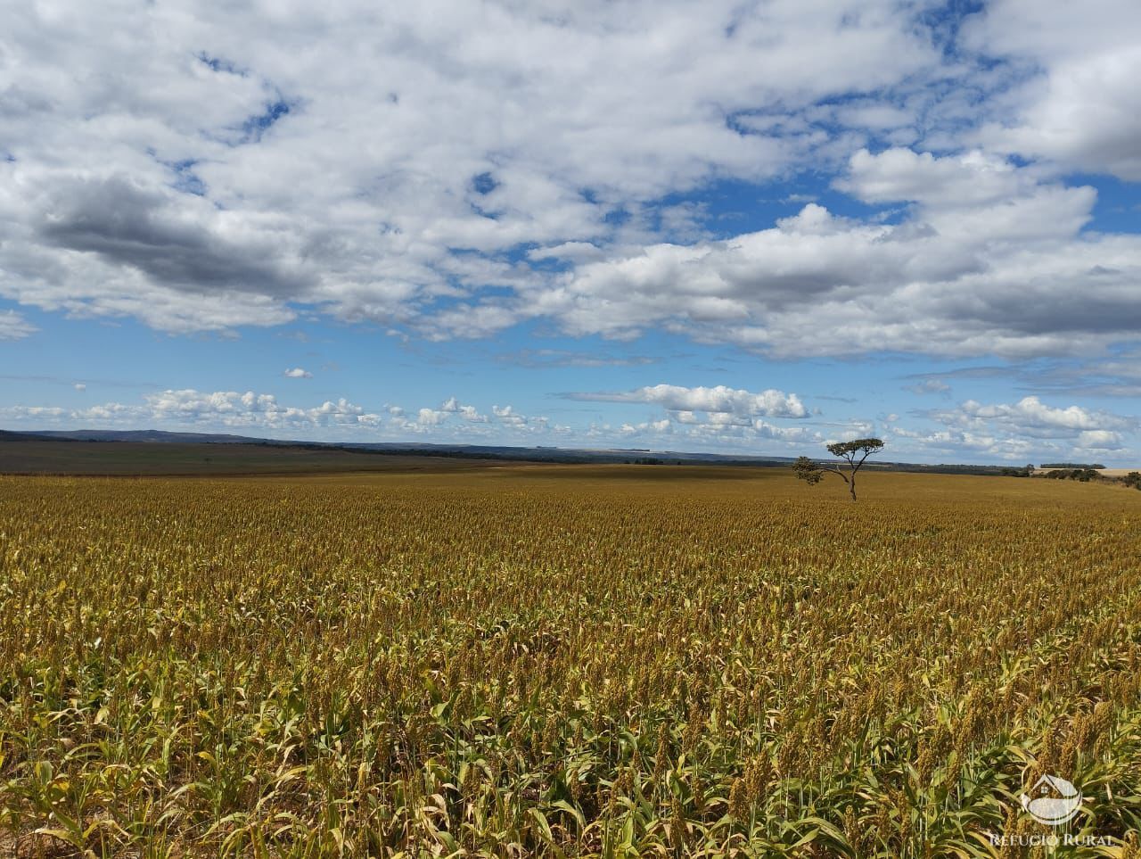 Fazenda à venda com 5 quartos, 16000000m² - Foto 1