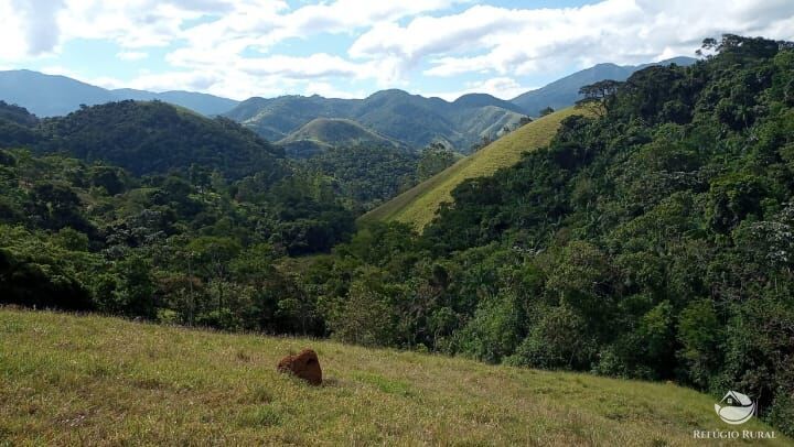 Sítio, 4 quartos, 8 hectares - Foto 17