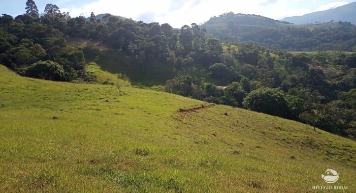 Sítio, 4 quartos, 8 hectares - Foto 9