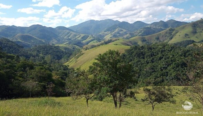 Sítio, 4 quartos, 8 hectares - Foto 1