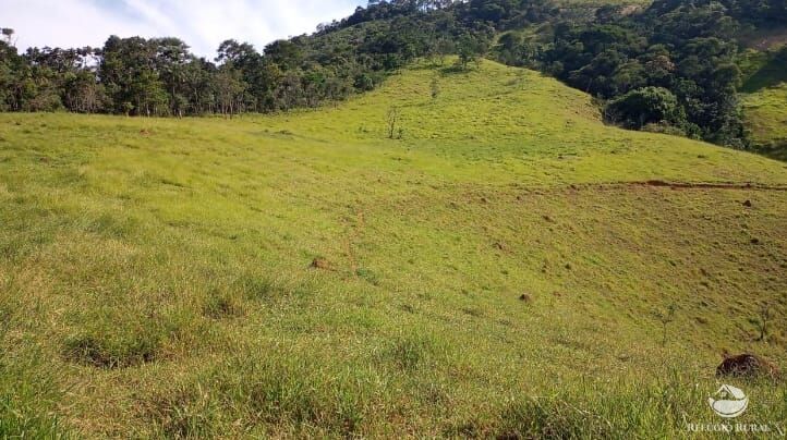 Sítio, 4 quartos, 8 hectares - Foto 8