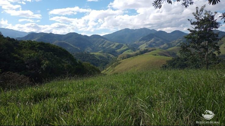 Sítio, 4 quartos, 8 hectares - Foto 18