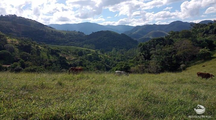 Sítio, 4 quartos, 8 hectares - Foto 3