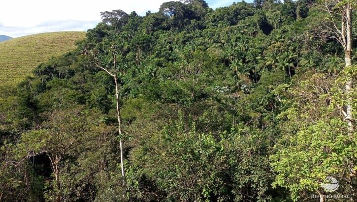 Sítio, 4 quartos, 8 hectares - Foto 4