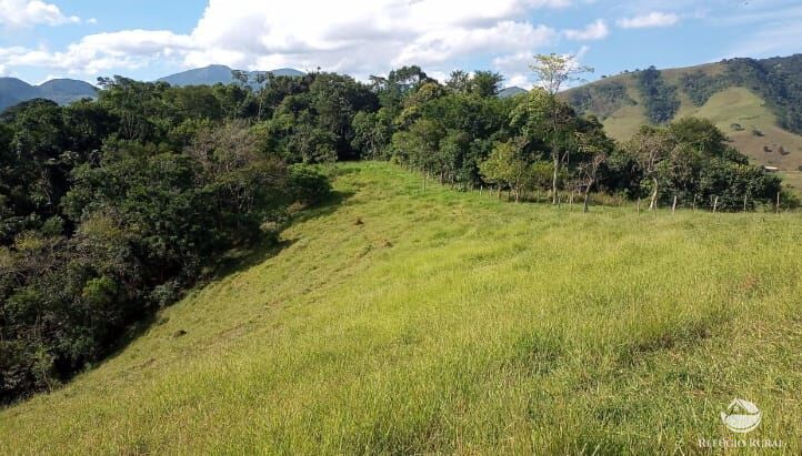 Sítio, 4 quartos, 8 hectares - Foto 5