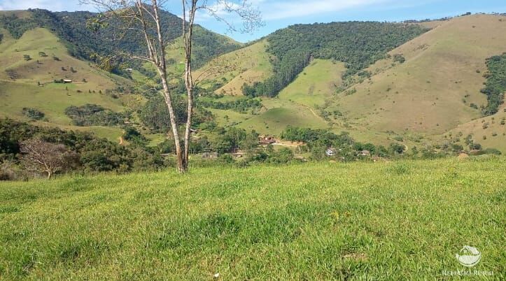 Sítio, 4 quartos, 8 hectares - Foto 2