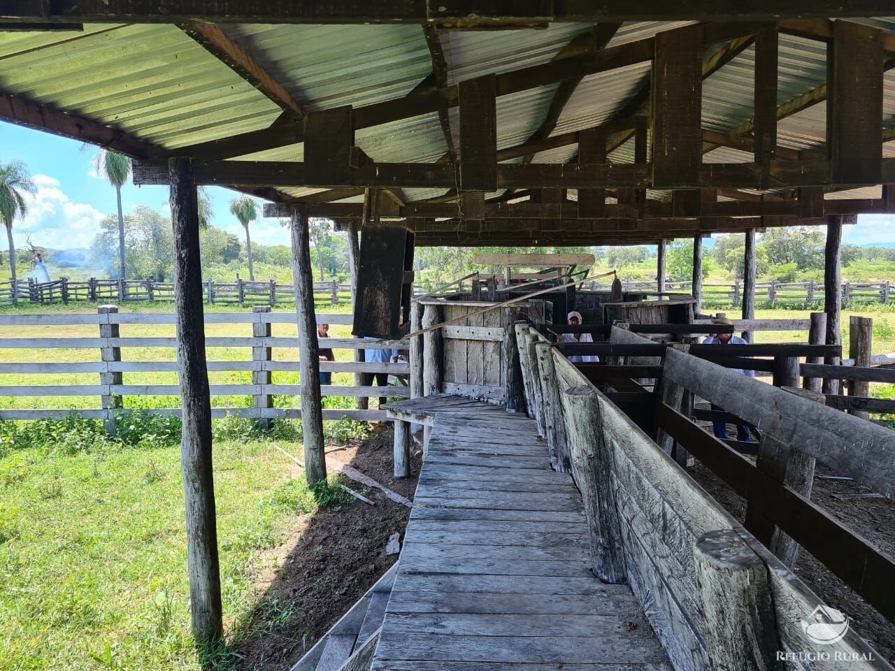 Fazenda à venda com 5 quartos, 36000000m² - Foto 6