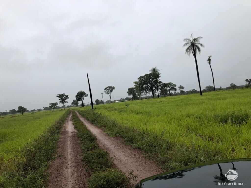 Fazenda à venda com 5 quartos, 36000000m² - Foto 4