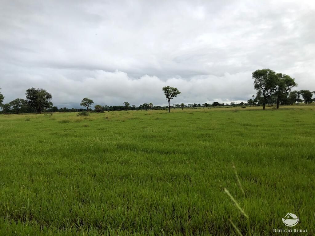 Fazenda à venda com 5 quartos, 36000000m² - Foto 18