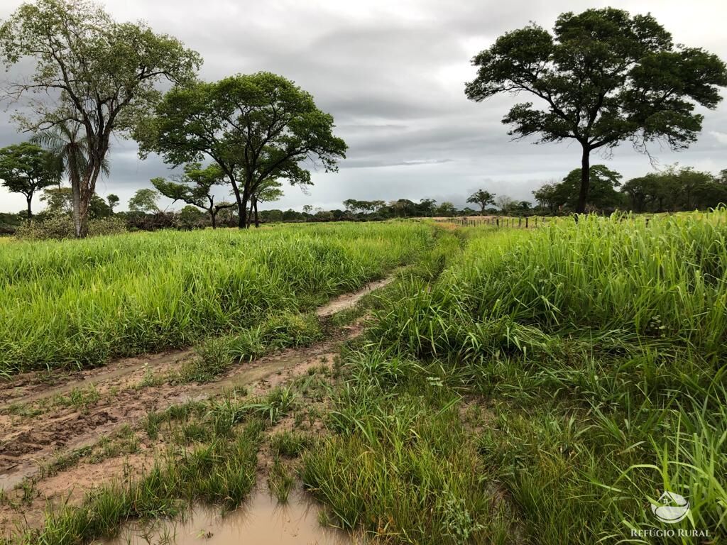 Fazenda à venda com 5 quartos, 36000000m² - Foto 13