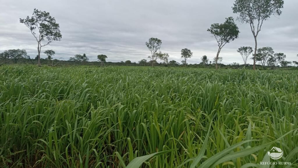 Fazenda à venda com 5 quartos, 36000000m² - Foto 16