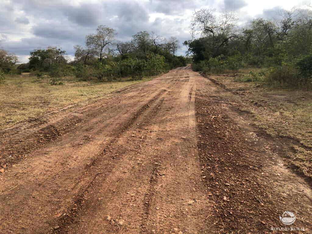 Fazenda à venda com 5 quartos, 36000000m² - Foto 19