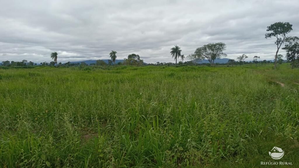 Fazenda à venda com 5 quartos, 36000000m² - Foto 17