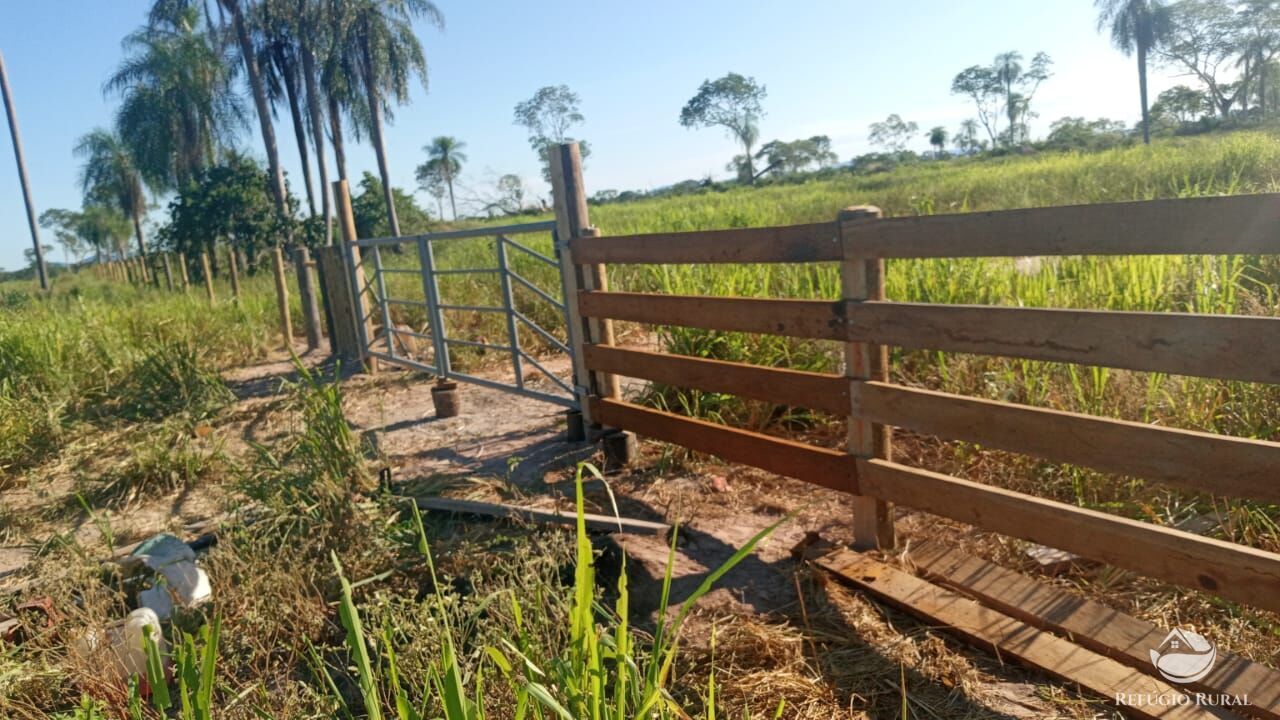 Fazenda à venda com 5 quartos, 36000000m² - Foto 2