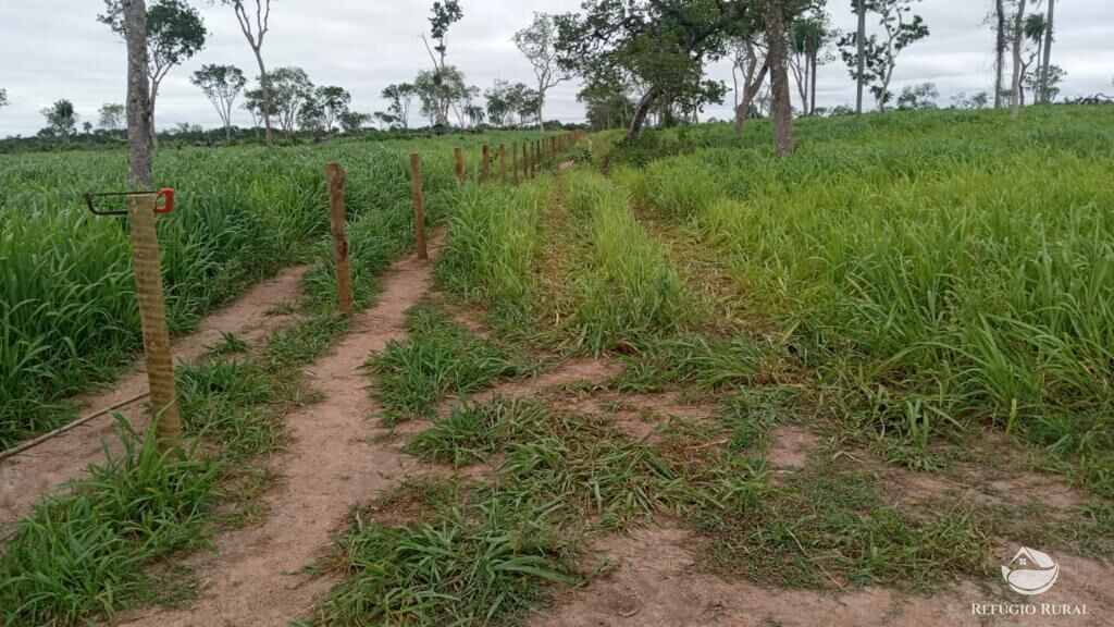 Fazenda à venda com 5 quartos, 36000000m² - Foto 15