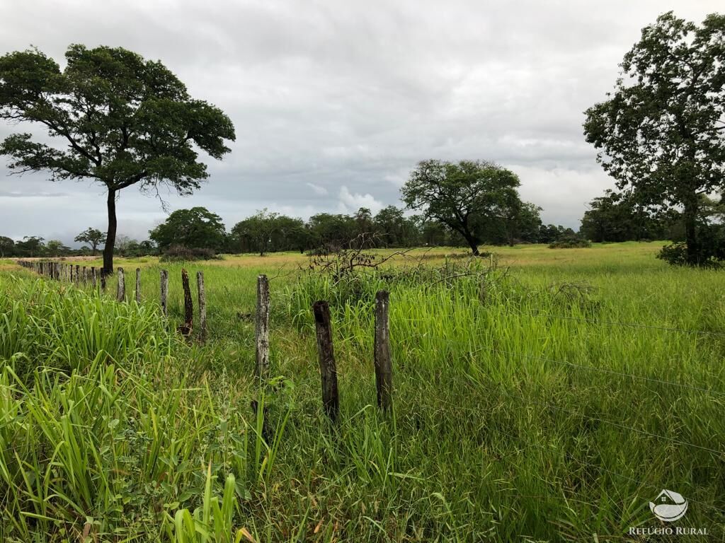 Fazenda à venda com 5 quartos, 36000000m² - Foto 7