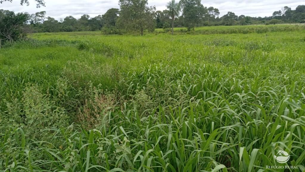 Fazenda à venda com 5 quartos, 36000000m² - Foto 5