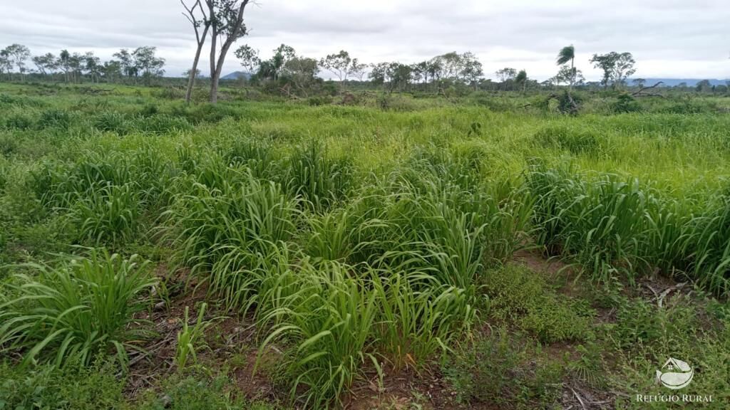 Fazenda à venda com 5 quartos, 36000000m² - Foto 10