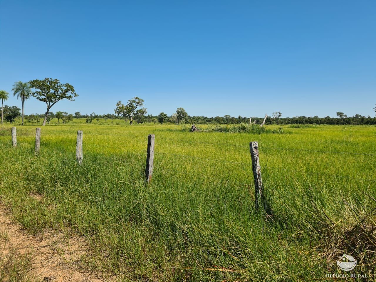 Fazenda à venda com 5 quartos, 36000000m² - Foto 3